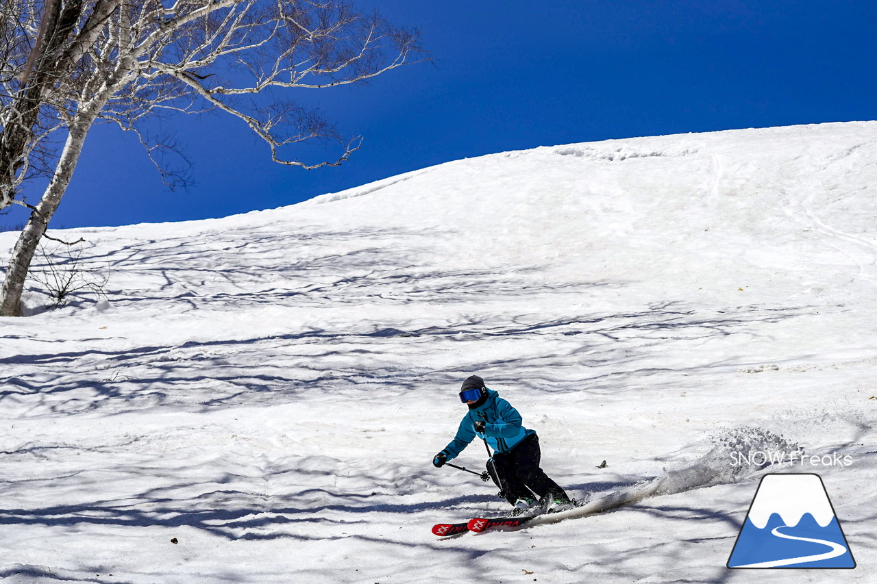 ニセコグラン・ヒラフ DYNASTAR SKI TEST RIDE DAYS Photo Session!!最高の天気に恵まれたニセコに、最高の仲間たちが集まりました☆